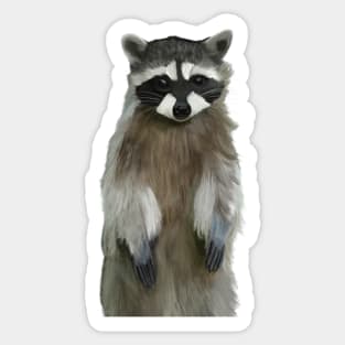 Cute Standing Raccoon Sticker